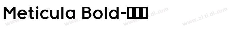 Meticula Bold字体转换